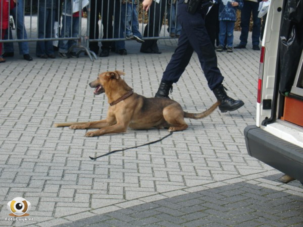 Politiedag 19 20210527 1614027342