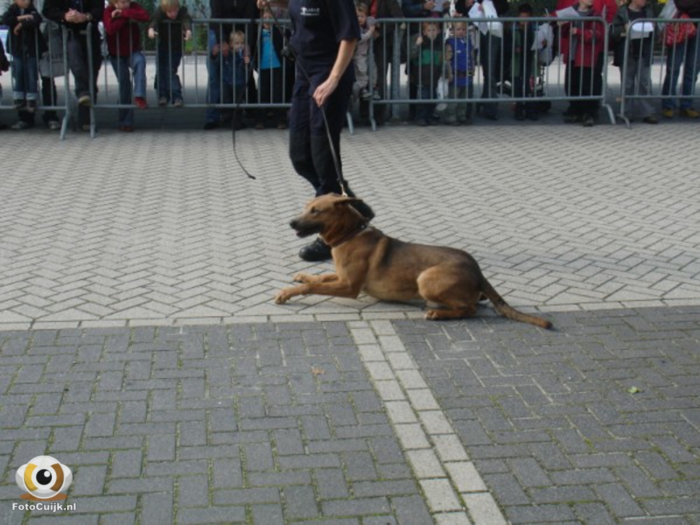Politiedag 20 20210527 1172781862