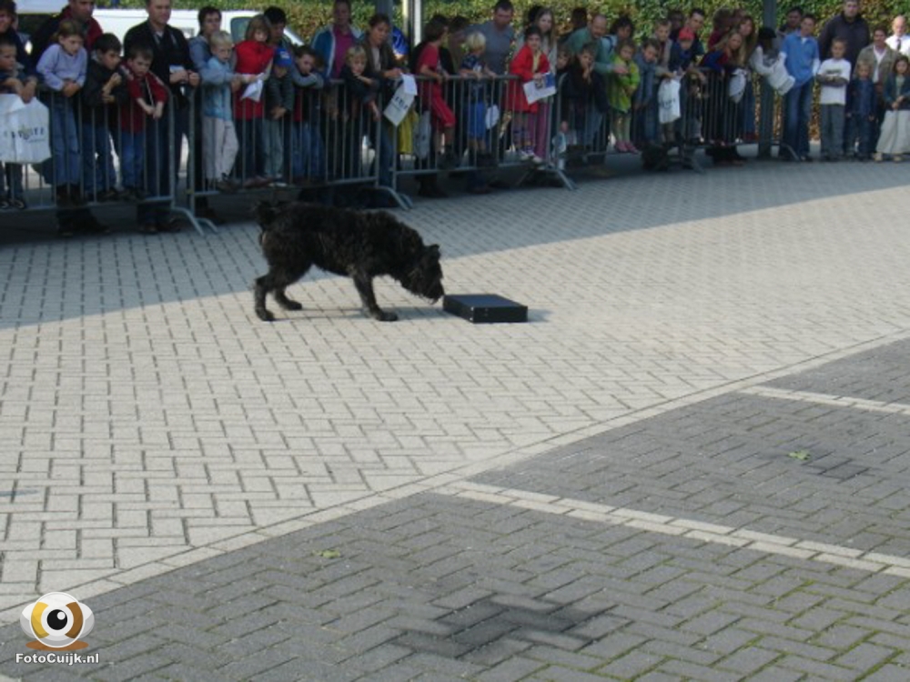Politiedag 25 20210527 1636084397