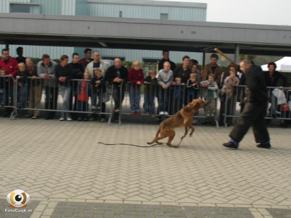 Politiedag 4 20210527 1134962113