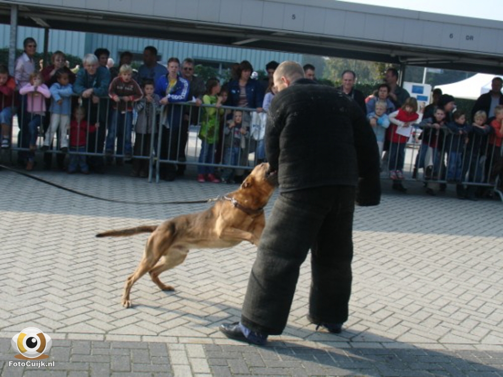 Politiedag 8 20210527 1121648156