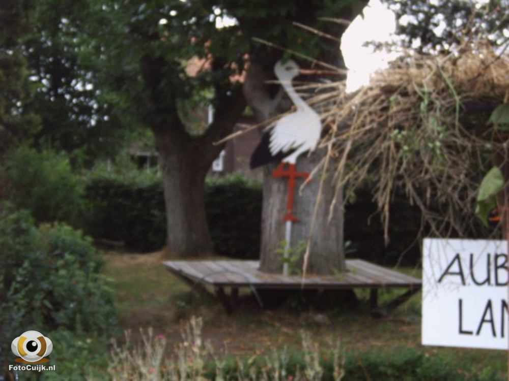Doortocht linden 79 20210527 1499897600